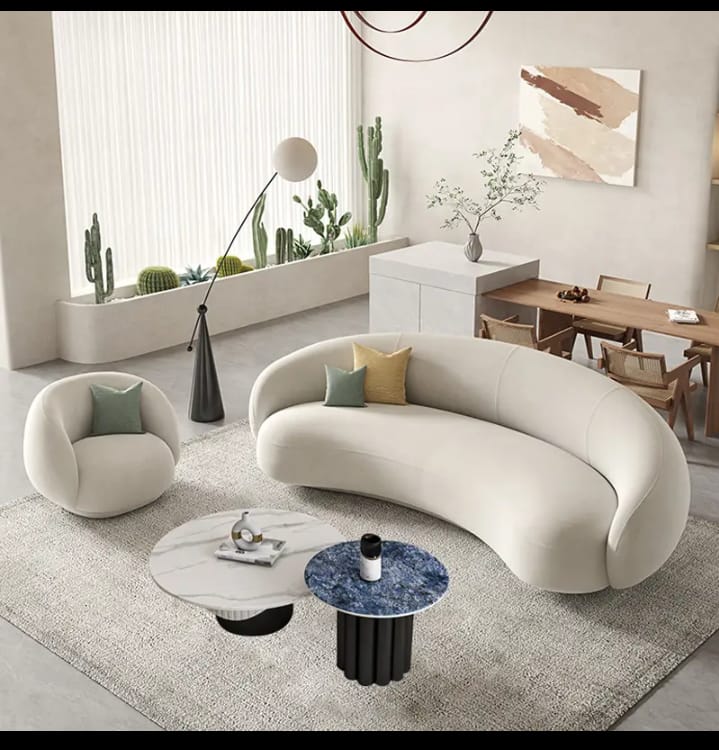 Modern design sofa